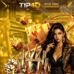 Main Slot di TIP4D
