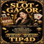 tip4d