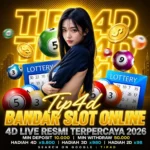 TIP4D