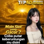 TIP4D